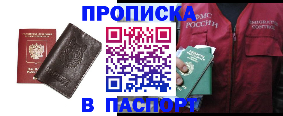 найти адрес прописки в Елизово